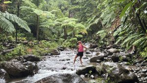 Woman crossing rocky forest stream