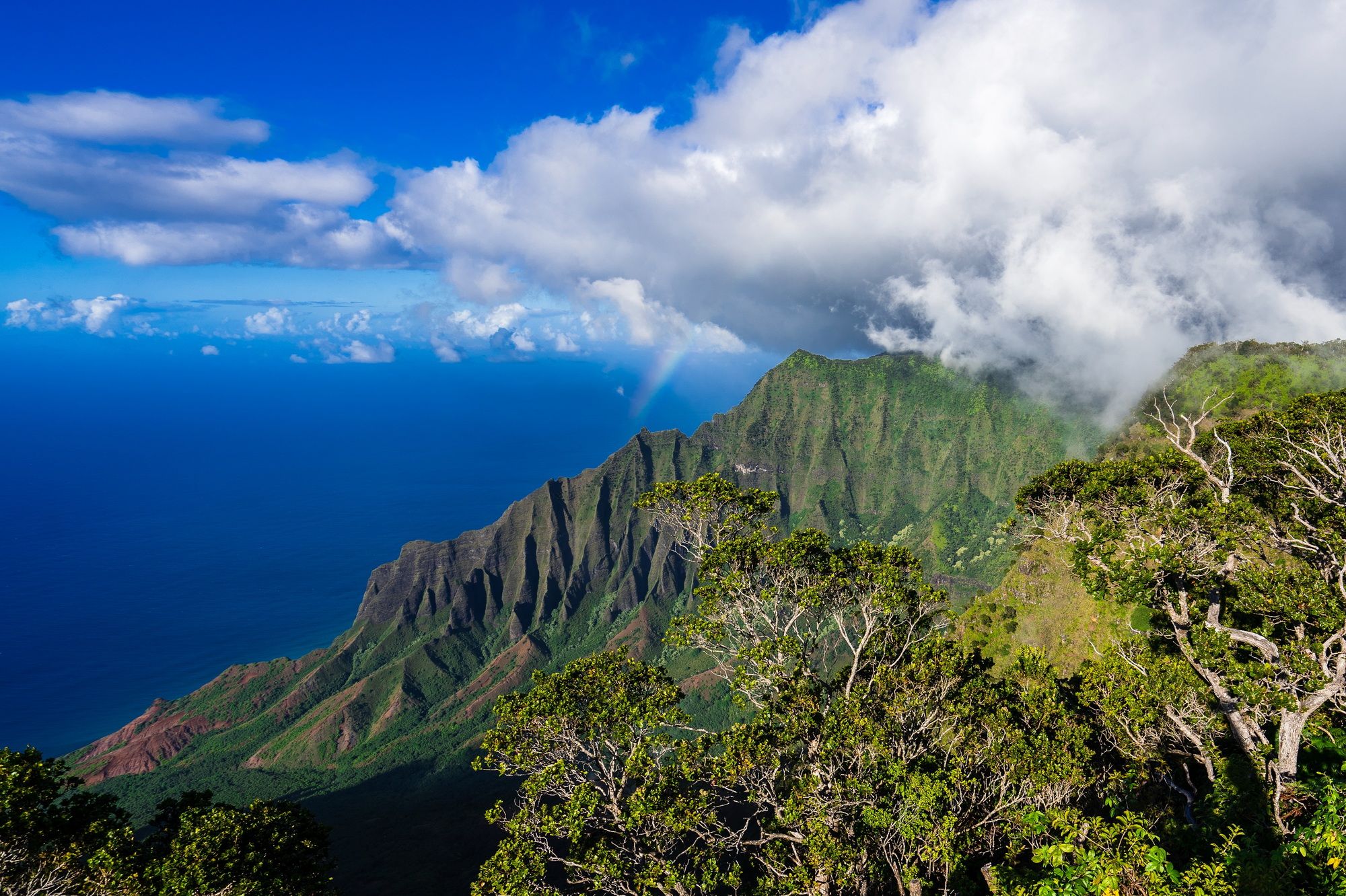 High angle shot of the famous Kalalau Valley in Kauai, Hawaii