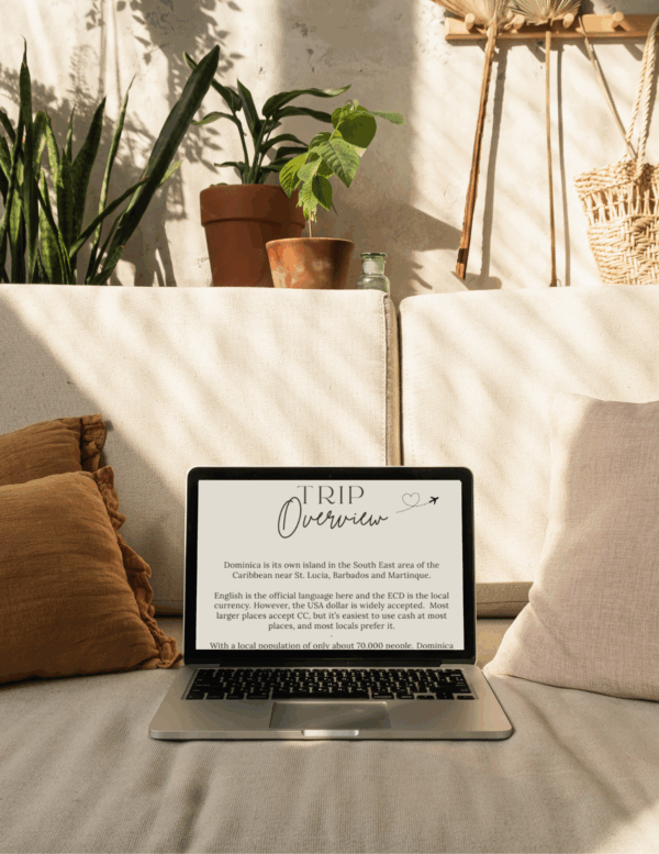 Laptop displaying trip overview text on a couch.