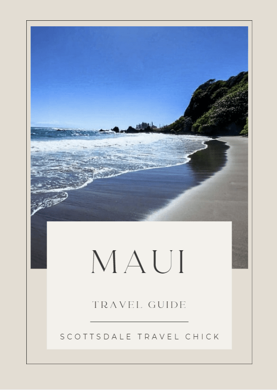 Maui beach travel guide cover with ocean view.